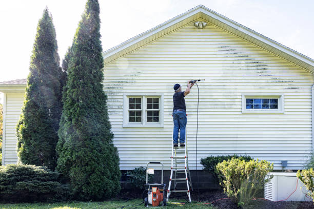 Best Soft Washing  in Plum, PA